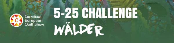 Europäisches Patchwork und Textilkunst Treffe 17.-20.09.26